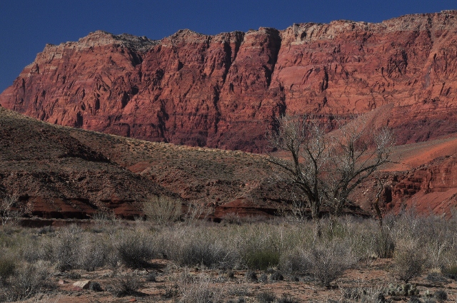 Paria Canyon Trail